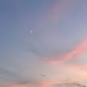 華の画像