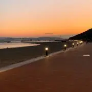 アクビちゃんの画像