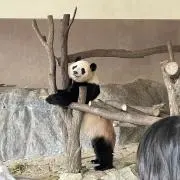 Ohの画像