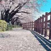 おむらいすの画像