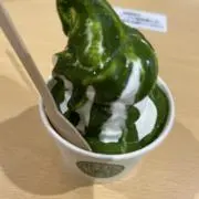 Osa