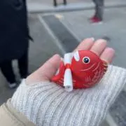 shineの画像