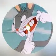きいちゃんの画像