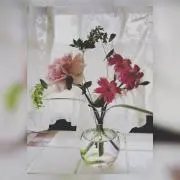 ☆yoko☆の画像