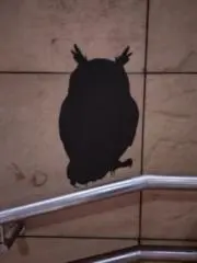 ぽーむの画像