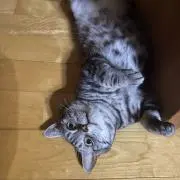 オフトゥン