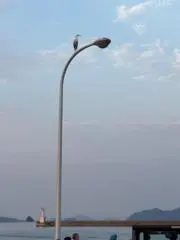 GHの画像