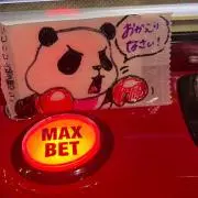 しゅがーの画像