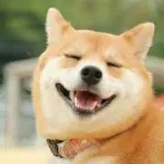 まみたす