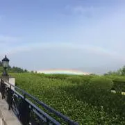 しんあおママの画像