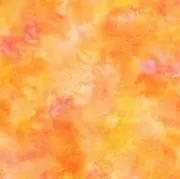 いろいろ販売中⭐︎の画像