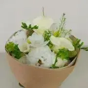 みほちの画像