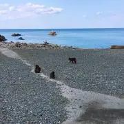 みかみの画像