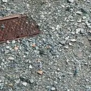 おとね