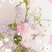 ☆AMO☆の画像