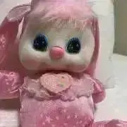 きのん。の画像