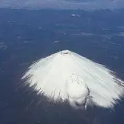 yutoriの画像
