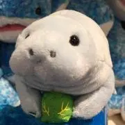 もそもその画像
