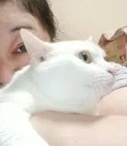 Arisanの画像