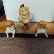 あんずの画像