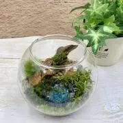 あずちんの画像