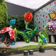 マゴワヤサシイの画像