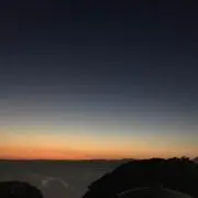 はんぞう