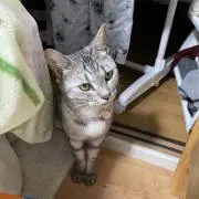 スカイブルー