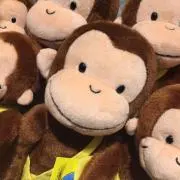 ※プロフ必読てぃもんの画像