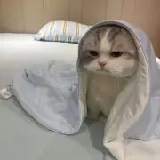りな