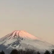 過労キティー