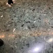 かわぐちーずの画像