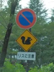 タクヤの画像