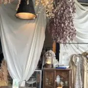 もちの画像