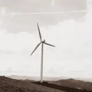 えぬえぬの画像