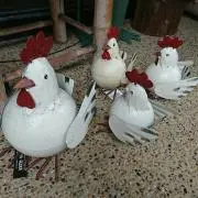 Cocoの画像