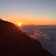はる
