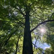 mono ＊プロフに詳細の画像