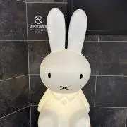 きっちゃの画像
