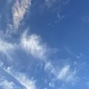 たかみな