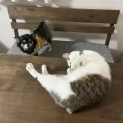 ☆まろめめ☆プロフィール見てね！の画像