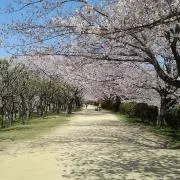 H.yntyの画像