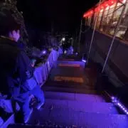 ピーナッツの画像