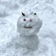 RNの画像