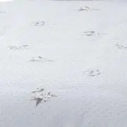 mの画像