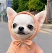 ★美夕★の画像