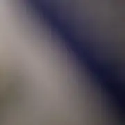 ラズベリーの画像