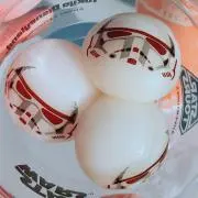 みちょの画像