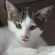 のあの画像