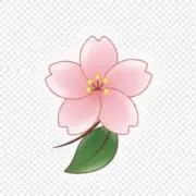 だーちゃんファミリー☆おうち断捨離中☆の画像